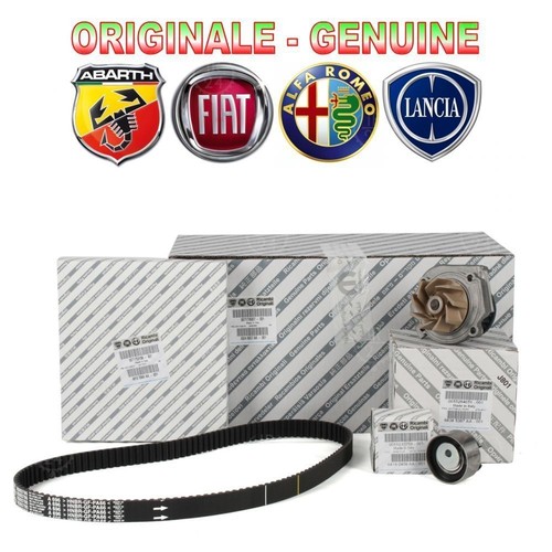 Kit distribuzione pompa - kit, +
